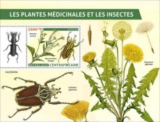 2023 06- CENTRAL AFRICA- MEDICAL PLANTS & INSECT