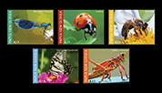 PAPUA NEW GUINEA- 2022 10- INSECTS  5V