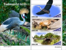 2022 10- SIERRA LEONE- ENDANGERED BIRDS  3V
