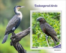 2022 10- SIERRA LEONE- ENDANGERED BIRDS I  1V