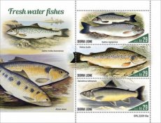 SIERRA LEONE- 2022 10- FRESH WATER FISHES  3V