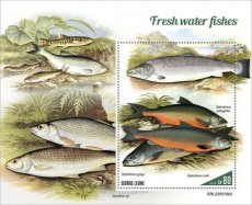 2022 10- SIERRA LEONE- FRESH WATER FISHES II  1V