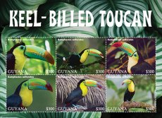 2022 11- GUYANA- KEEL BILLED TOUCAN  6V