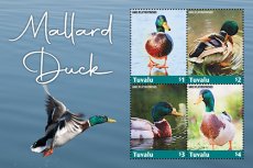 2022 11- TUVALU- MALLARD DUCK  4V