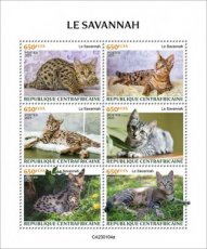 CENTRAL AFRICAN- 2023 01- SAVANNAH CAT  6V