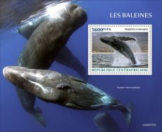 CENTRAL AFRICAN- 2023 01- WHALES  1V