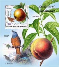 DJIBOUTI- 2023 03- FRUITS & BIRDS I  1v
