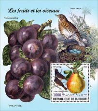 DJIBOUTI- 2023 03- FRUITS & BIRDS II  1V