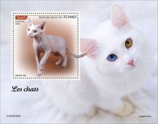 2023 04- CHAD- CATS  1V