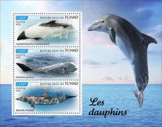 2023 04- CHAD- DOLPHINS  3V
