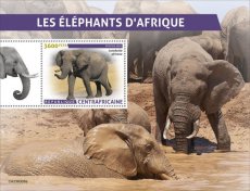 2023 06- CENTRAL AFRICA- ELEPHANTS  1V