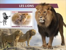 2023 06- CENTRAL AFRICA- LIONS  1V