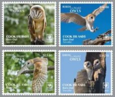 2023-10- COOK ISLANDS- BARN OWLS  4V