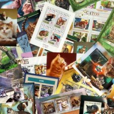 CHATS - CATS 35 DIFF SETS MNH**