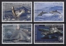 COOK-2020 05- WHALES & DOLPHINS I      4V