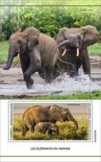 GUINEA- 2023 07- ELEPHANTS OF WORLD  1V