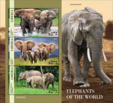 LIBERIA- 2023 08- ELEPHANTS  3V