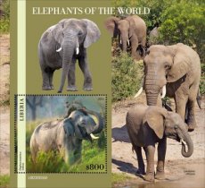 LIBERIA- 2023 08- ELEPHANTS I  1V
