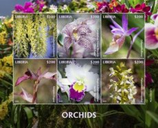 LIBERIA ORCHIDEES 2020/01