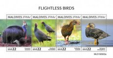MALDIVES BIRDS I 2020