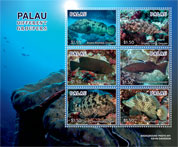 PALAU-2019/01- DIFFERENT GROUPERS  6V