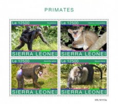 SIERRA LEONE PRIMATES 2020 01