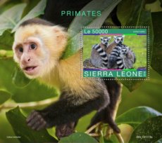 SIERRA LEONE PRIMATES BF 2020 01