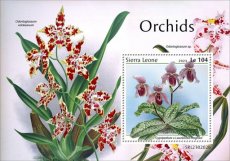 SIERRA LEONE- ORCHIDS  1V