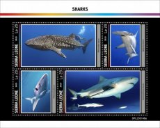 SIERRA LEONE- SHARKS  4V