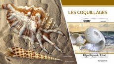 TCHAD COQUILLAGES BF 2020/02