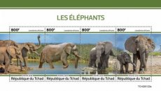 TCHAD ELEPHANTS 2020/02