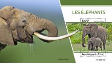 TCHAD ELEPHANTS BF 2020/02