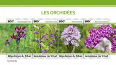 TCHAD ORCHIDEES 2020/03