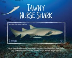 TUVALU 2018 12 TAWNY NURSE SHARKS 1V